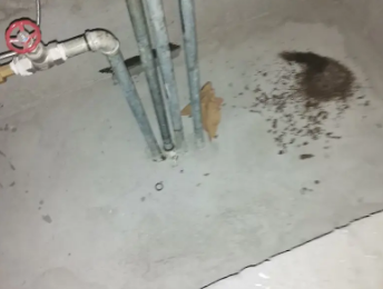 宁陵卫生间测漏水价格明细