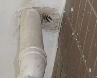 宁陵漏水检测哪家好